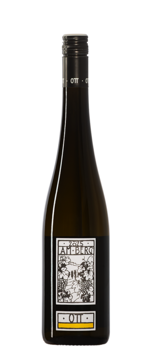 Weingut Bernhard Ott, Grüner Veltliner am Berg 0,75 2025